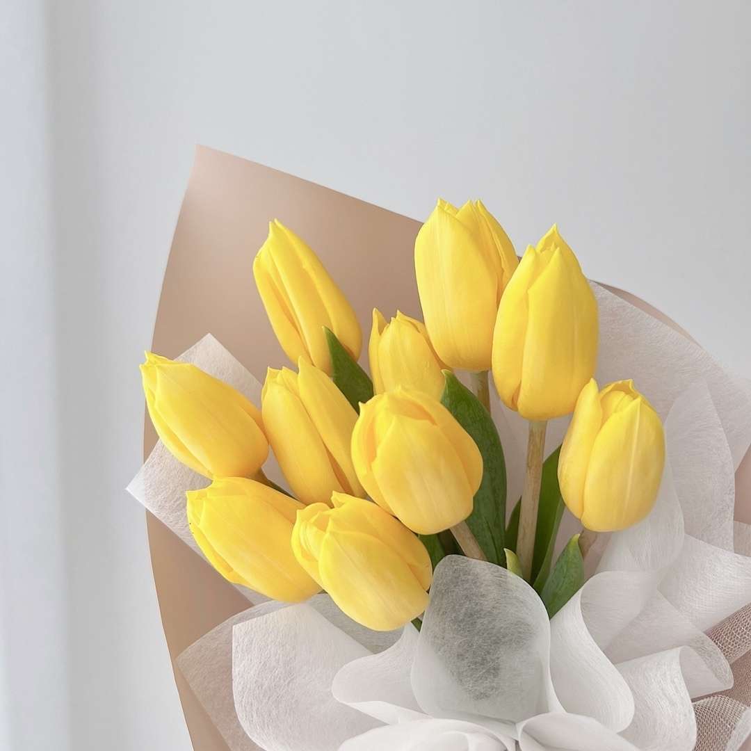 Tulip Cone Bouquet